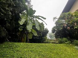 Tanglin Road (D10), Detached #564176931